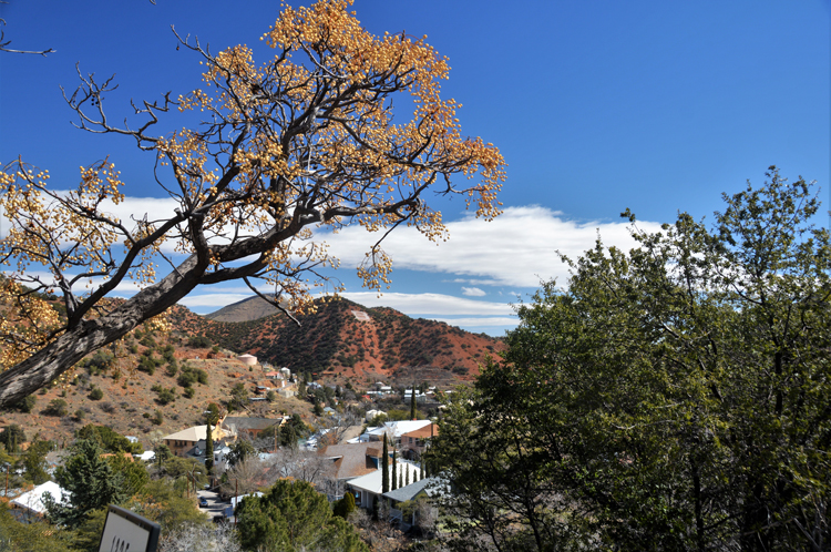 overlooking town on hill